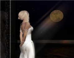 Wish upon a star.