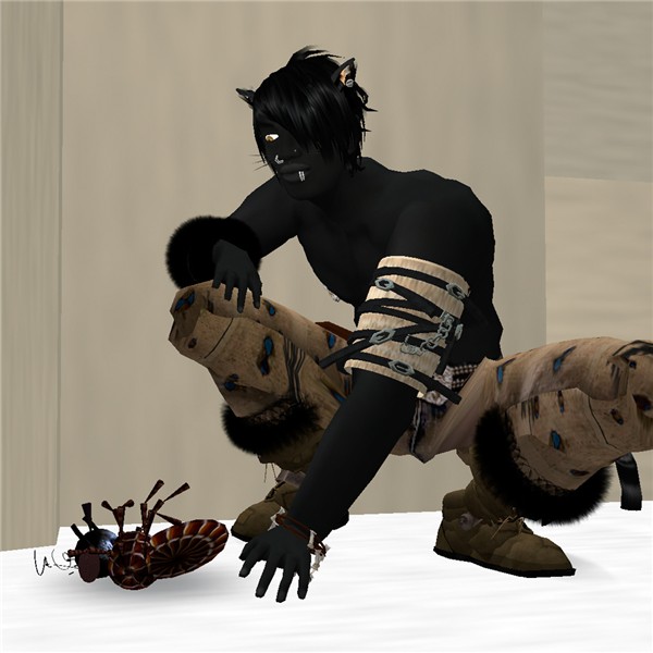 neko_balduin_167