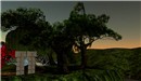straylight_2