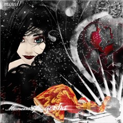 gashia copy