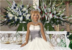 Snapshot98_005