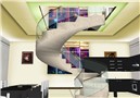 ELEGANTE PASION_3