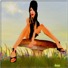Magic mushroom