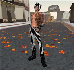 Fall is HERE!