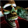 skull hallucinogen2