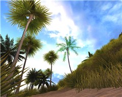 CoCoNuts