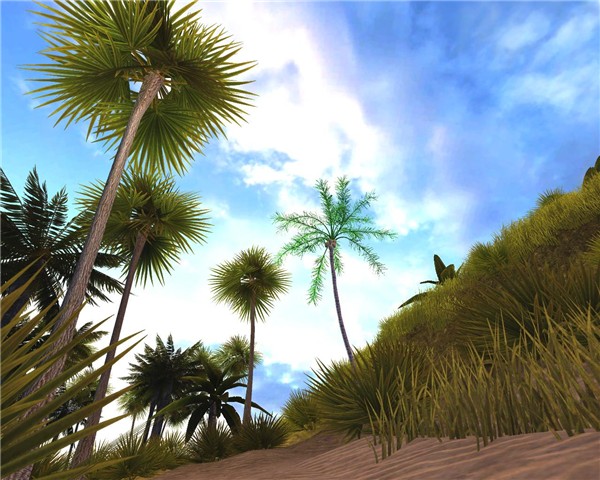CoCoNuts