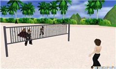 A day in a "white sand beach"