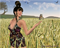 I'll Wheat for You