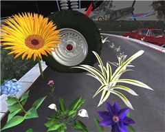 Flowers2
