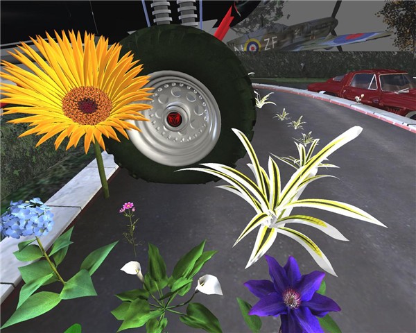 Flowers2