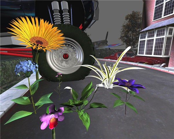 Flowers