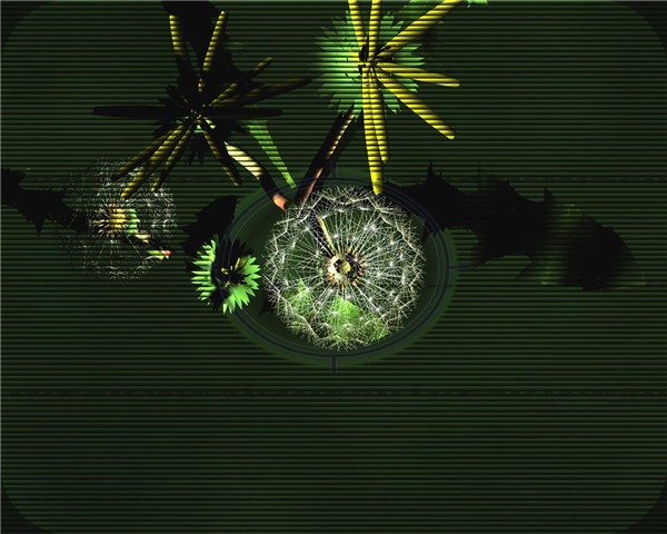 Dandelion Clock2