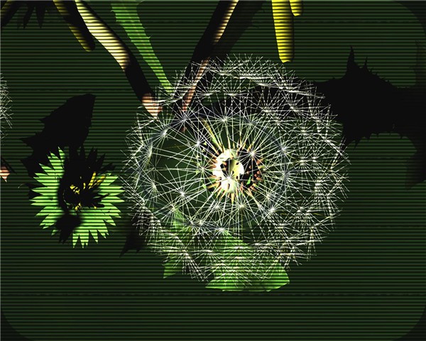 Dandelion Clock
