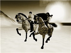 raceing horses bw