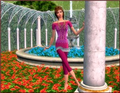 Le jardin