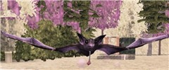 Bat