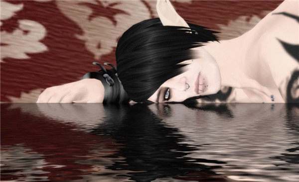 Narcissus