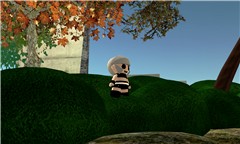 woom_004