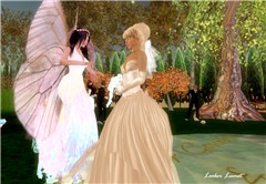 wedding7