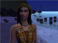 The Island