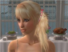 Vlada