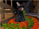 Tiny witch in Octoberville