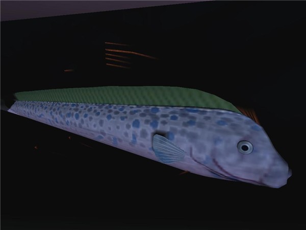 Fish4