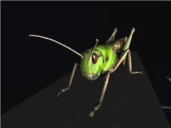 Locust1