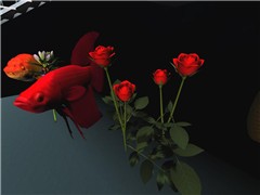Roses and Fish