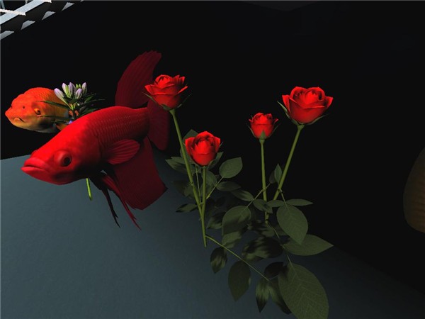 Roses and Fish