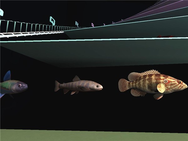 More Fish