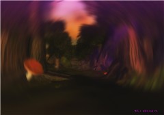 It is a Dream?