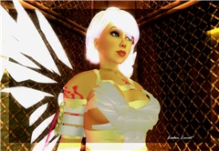 amanda3