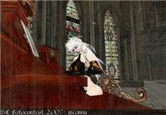 07-09-15-photocontest 1