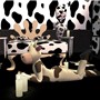 Sexy cow