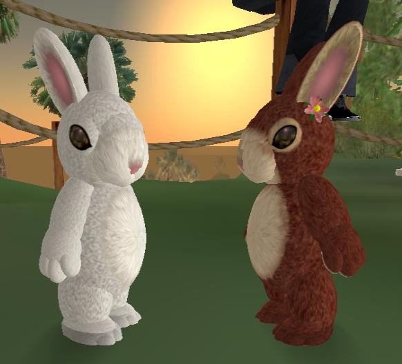 BUNNIES!
