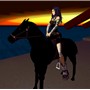 my horse with no name