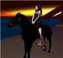 my horse with no name