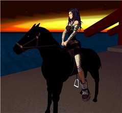 my horse with no name