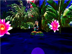 my little paradise
