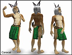 caracalimagead