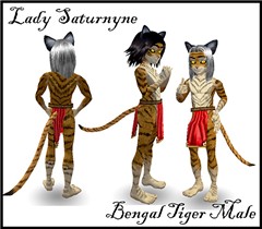 bengaltigermaleAD