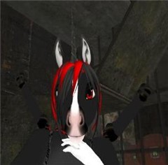 Close Up NightMare