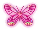 14581ulwxcyw2lq