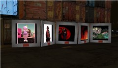 cannery rezzable exhibition