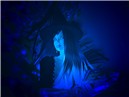 Magical blue night