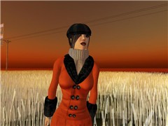 Somewhere in the wheat field...(the far away)