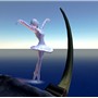 07-11-10 - Black Swan 3