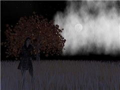 By moonlight